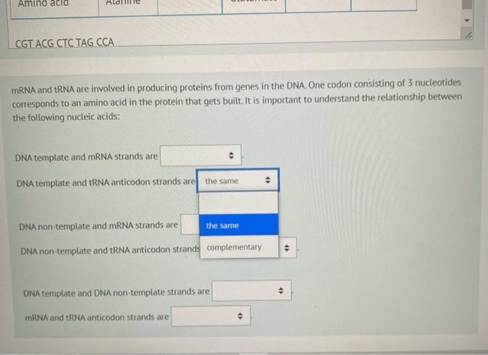 Complete The Following Table And Answer The Next Two Questions 3 5 Marks B I 8 Us X X Ei C X Q Dna Strand Dna S 2