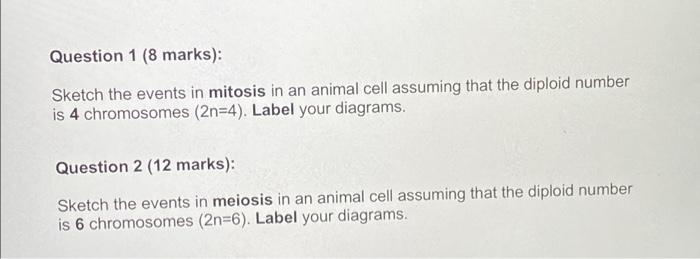 Question 1 8 Marks Sketch The Events In Mitosis In An Animal Cell Assuming That The Diploid Number Is 4 Chromosomes 1
