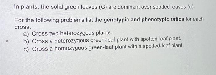 In Plants The Solid Green Leaves G Are Dominant Over Spotted Leaves G For The Following Problems List The Genotypi 1