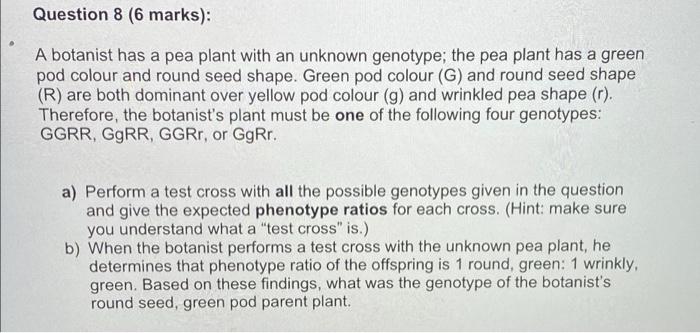 Question 8 6 Marks A Botanist Has A Pea Plant With An Unknown Genotype The Pea Plant Has A Green Pod Colour And Roun 1