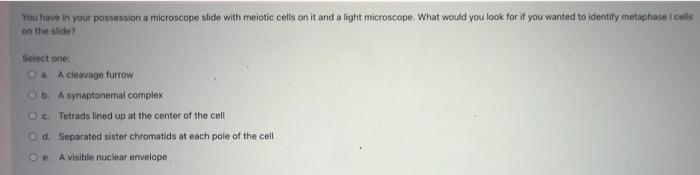 Which Of The Following Types Of Mutation Resulting In An Error In The Mrna Just After The Aug Start Of Translation Is 5