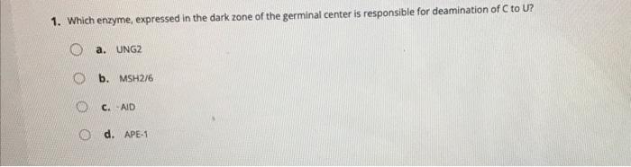 1 Which Enzyme Expressed In The Dark Zone Of The Germinal Center Is Responsible For Deamination Of C To U A Ung2 Ob 1