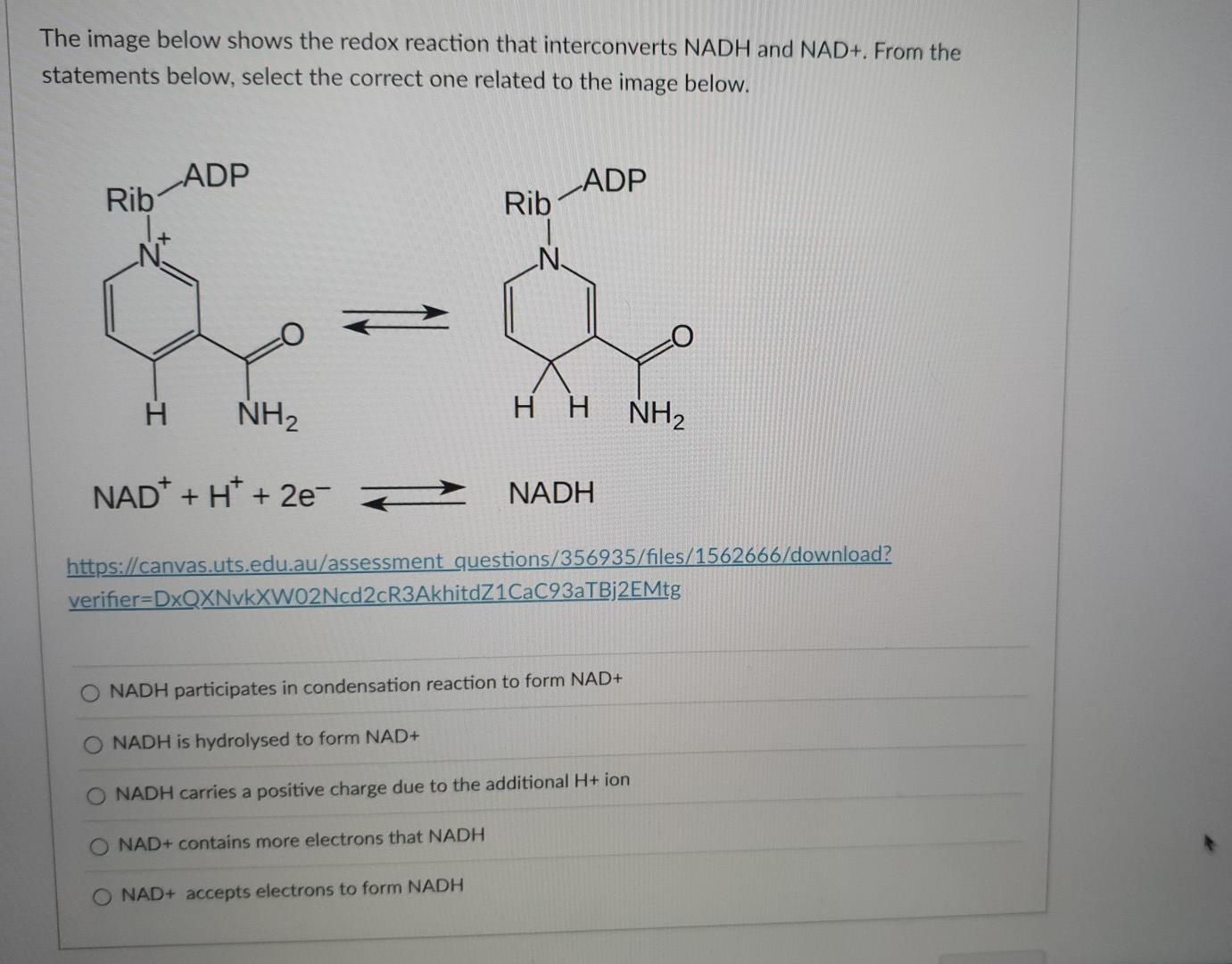 The Image Below Shows The Redox Reaction That Interconverts Nadh And Nad From The Statements Below Select The Correct 1