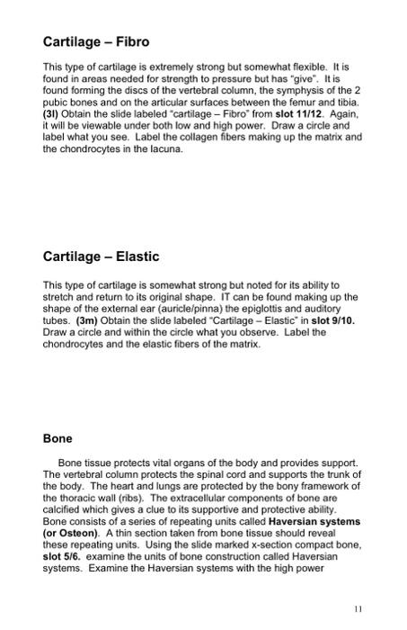 Cartilage Fibro This Type Of Cartilage Is Extremely Strong But Somewhat Flexible It Is Found In Areas Needed For Stre 1