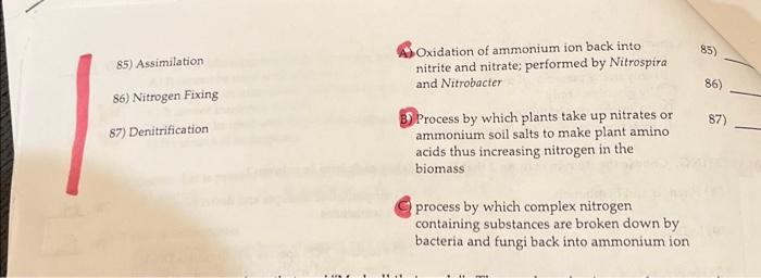 Matching Choose The Item In Column 2 That Best Matches Each Item In Column 1 83 Nitrification 84 Ammonification A S 2