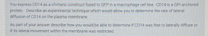 You Express Cd14 As A Chimeric Construct Fused To Gfp In A Macrophage Cell Line Cd14 Is A Gpi Anchored Protein Describ 1