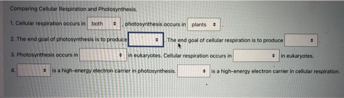 Comparing Cellular Respiration And Photosynthesis 1 Cellular Respiration Occurs In Both 2 The End Goal Of Photosynthe 1