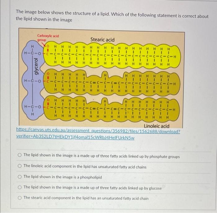 The Image Below Shows The Structure Of A Lipid Which Of The Following Statement Is Correct About The Lipid Shown In The 1