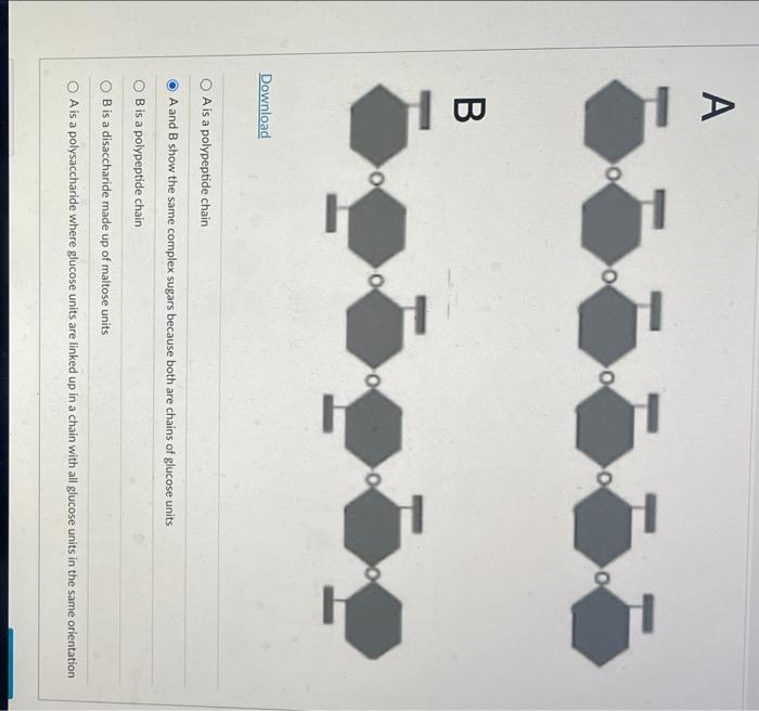 A 0 B 0 0 O 0 Download O A Is A Polypeptide Chain A And B Show The Same Complex Sugars Because Both Are Chains Of Glucos 1