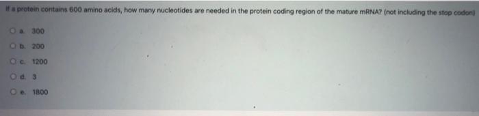 If A Protein Contains 600 Amino Acids How Many Nucleotides Are Needed In The Protein Coding Region Of The Mature Mrna 2