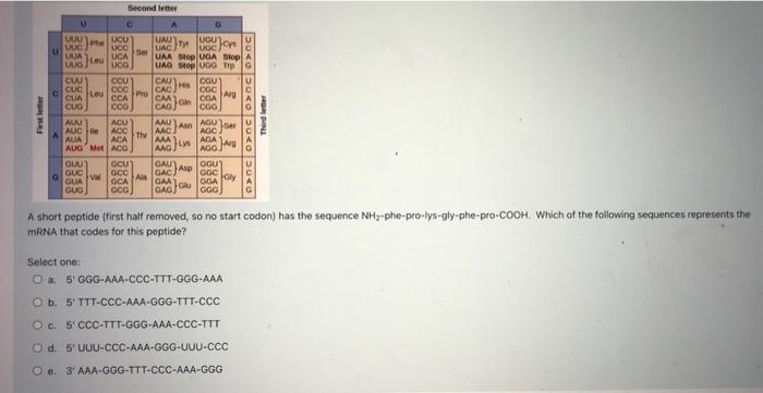 If A Protein Contains 600 Amino Acids How Many Nucleotides Are Needed In The Protein Coding Region Of The Mature Mrna 3