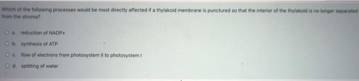 If A Protein Contains 600 Amino Acids How Many Nucleotides Are Needed In The Protein Coding Region Of The Mature Mrna 4