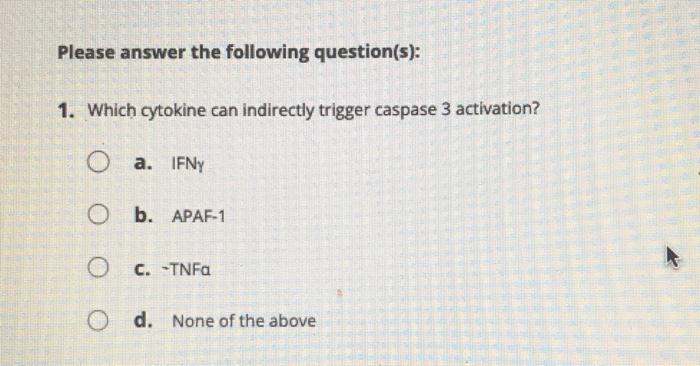 Please Answer The Following Question S 1 What Would Happen If The Tcr Expressed By The Ctl Did Not Recognize The Mhc 3