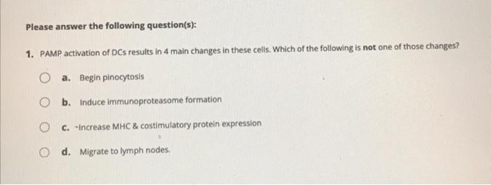 Please Answer The Following Question S 1 What Would Happen If The Tcr Expressed By The Ctl Did Not Recognize The Mhc 4