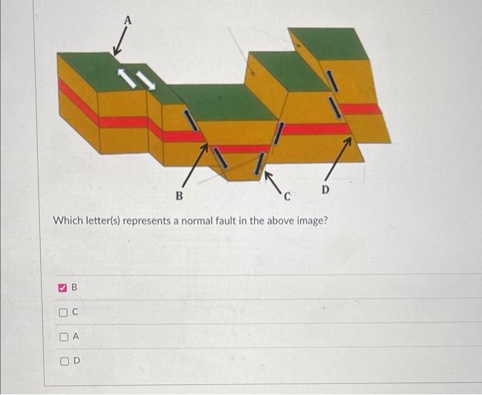 D B C Which Letter S Represents A Normal Fault In The Above Image B Oc Da Od D B Which Letter S Represents A Reverse 1