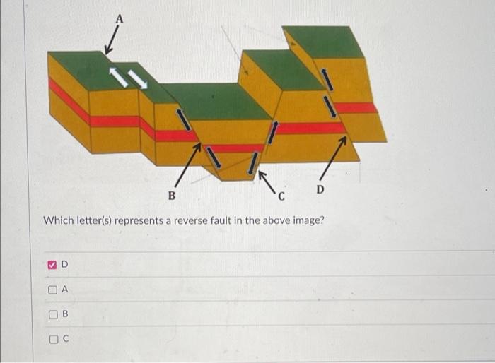 D B C Which Letter S Represents A Normal Fault In The Above Image B Oc Da Od D B Which Letter S Represents A Reverse 2