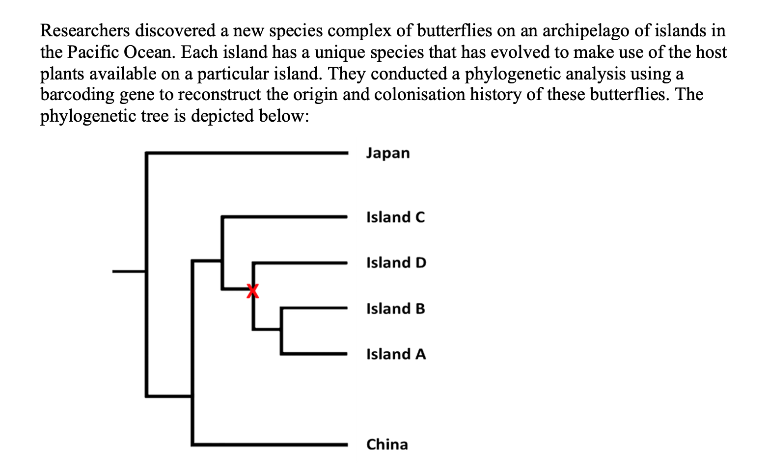 Researchers Discovered A New Species Complex Of Butterflies On An Archipelago Of Islands In The Pacific Ocean Each Isla 1