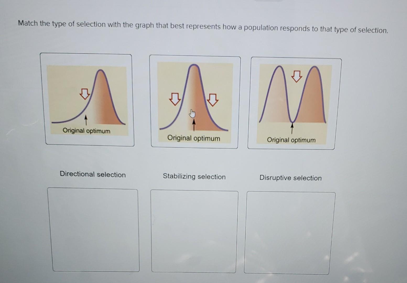 Match The Type Of Selection With The Graph That Best Represents How A Population Responds To That Type Of Selection A M 1
