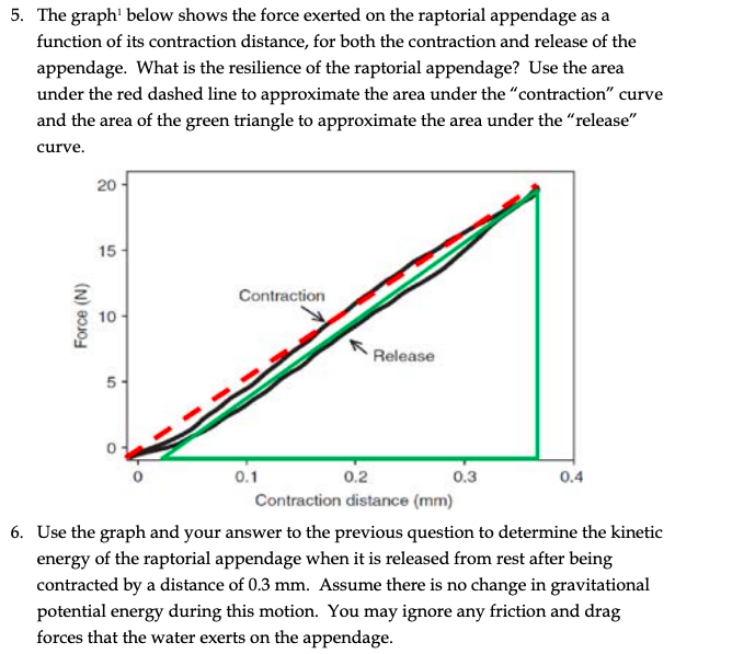 5 The Graph Below Shows The Force Exerted On The Raptorial Appendage As A Function Of Its Contraction Distance For Bo 1