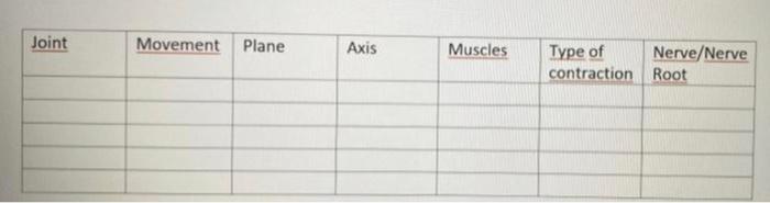 Joint Movement Plane Axis Muscles Type Of Contraction Nerve Nerve Root 1