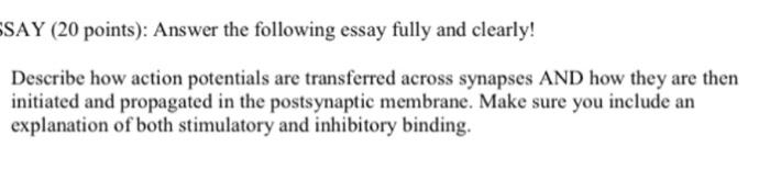 Say 20 Points Answer The Following Essay Fully And Clearly Describe How Action Potentials Are Transferred Across Syn 1