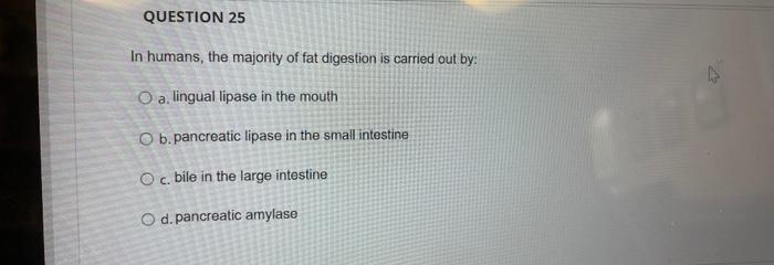 Question 50 Fatty Acids Are Converted To Blood Sugar During Starvation O True False The Size Of A Lipoprotein Is Deter 3
