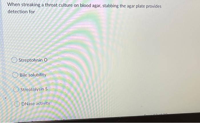 When Streaking A Throat Culture On Blood Agar Stabbing The Agar Plate Provides Detection For Streptolysin O Bile Solubi 1