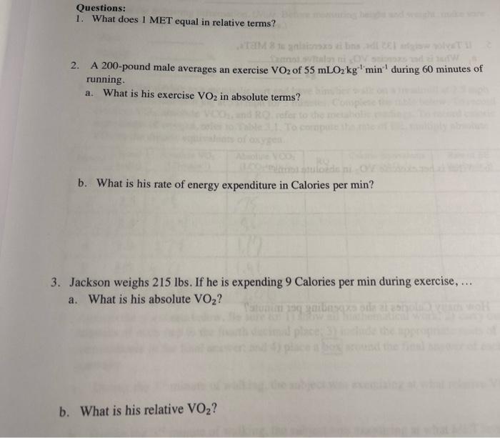 Questions 1 What Does 1 Met Equal In Relative Terms Tam 8 14 Gnlaionoxo I Bna Ti Had 2 A 200 Pound Male Averages An 1