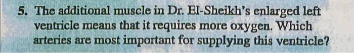 5 The Additional Muscle In Dr El Sheikh S Enlarged Left Ventricle Means That It Requires More Oxygen Which Arteries A 1