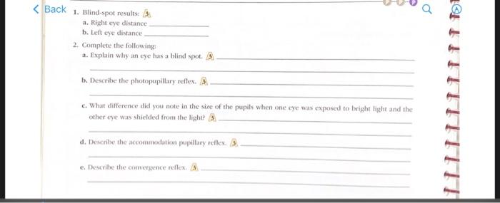Corresponds To The Visual Tests And Demonstrations Part A Assessments 1 Visual Acuity Test Results Acuity Values Eye T 4