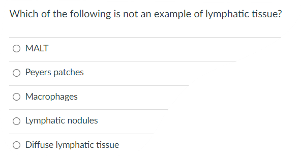 Which Of The Following Is Not An Example Of Lymphatic Tissue O Malt O Peyers Patches O Macrophages O Lymphatic Nodules 1