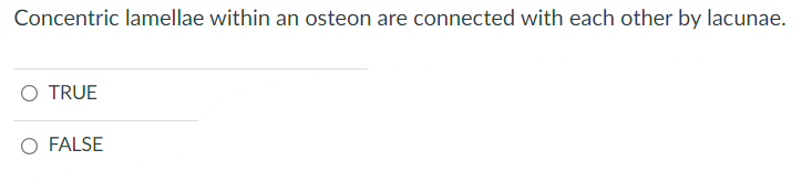 Concentric Lamellae Within An Osteon Are Connected With Each Other By Lacunae O True O False Colloid Is A Substance As 1