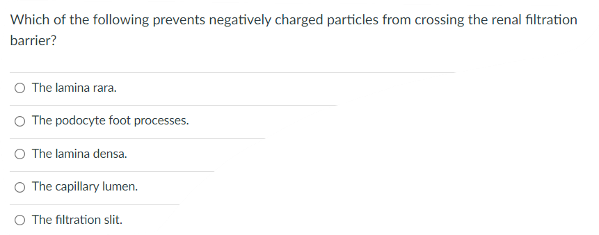 Which Of The Following Prevents Negatively Charged Particles From Crossing The Renal Filtration Barrier O The Lamina Ra 1