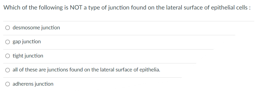 Which Of The Following Is Not A Type Of Junction Found On The Lateral Surface Of Epithelial Cells Desmosome Junction O 1