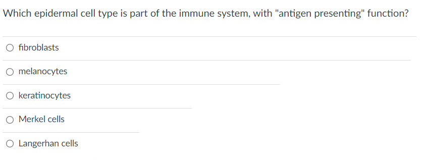 Which Epidermal Cell Type Is Part Of The Immune System With Antigen Presenting Function O Fibroblasts O Melanocytes 1