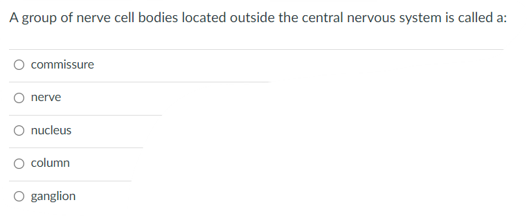 A Group Of Nerve Cell Bodies Located Outside The Central Nervous System Is Called A Commissure Nerve Nucleus Column O G 1