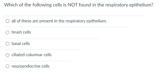 Which Of The Following Cells Is Not Found In The Respiratory Epithelium All Of These Are Present In The Respiratory Epi 1