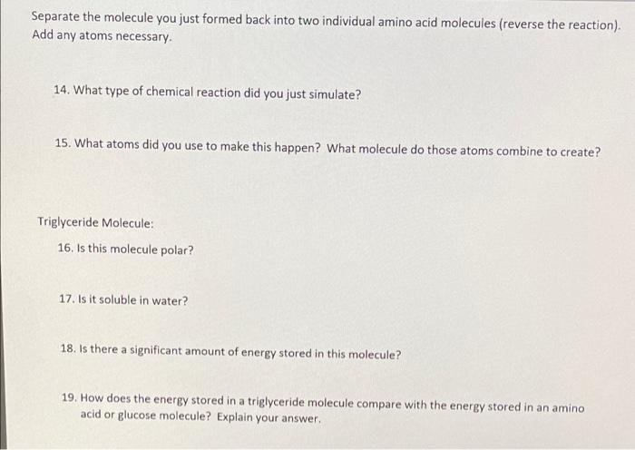Separate The Molecule You Just Formed Back Into Two Individual Amino Acid Molecules Reverse The Reaction Add Any Atom 1
