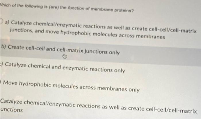 Which Of The Following Is Are The Function Of Membrane Proteins A Catalyze Chemical Enzymatic Reactions As Well As C 1