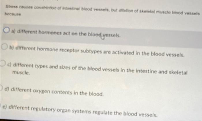 Which Of The Following Is Are The Function Of Membrane Proteins A Catalyze Chemical Enzymatic Reactions As Well As C 3