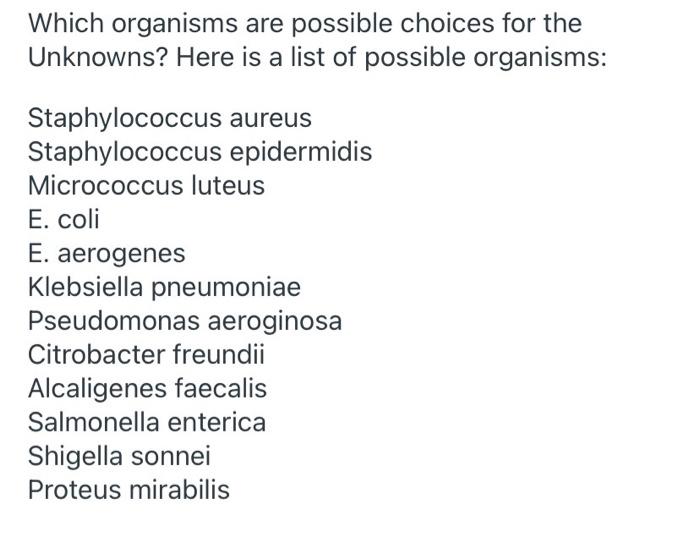 Which Organisms Are Possible Choices For The Unknowns Here Is A List Of Possible Organisms Staphylococcus Aureus Staph 6