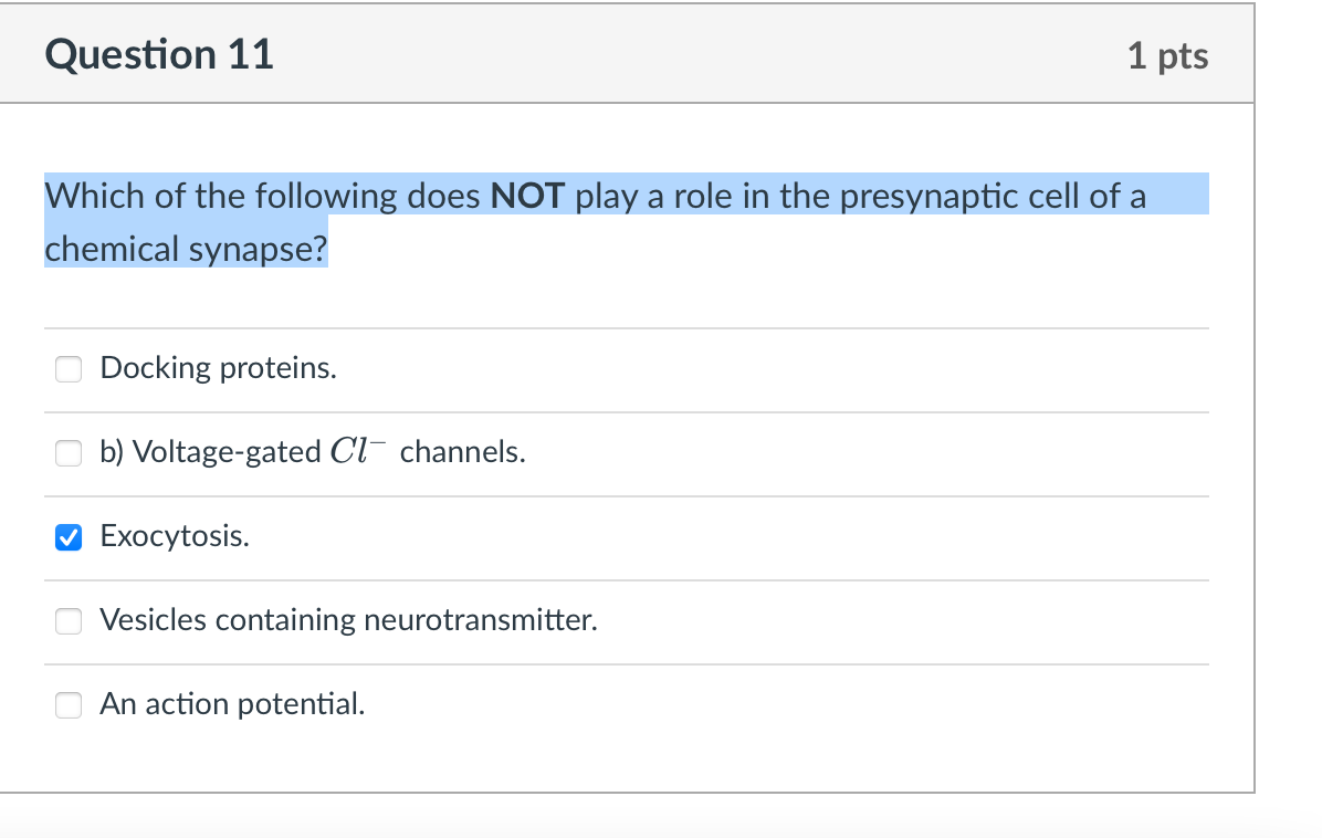 Question 11 1 Pts Which Of The Following Does Not Play A Role In The Presynaptic Cell Of A Chemical Synapse Docking Pro 1