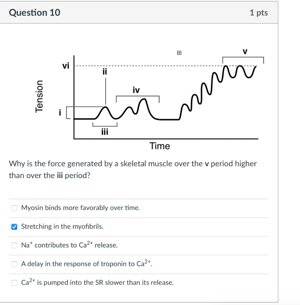 Question 10 Tension Vi Iv 1 Pts Mis Iii Time Why Is The Force Generated By A Skeletal Muscle Over The V Period Higher Th 1