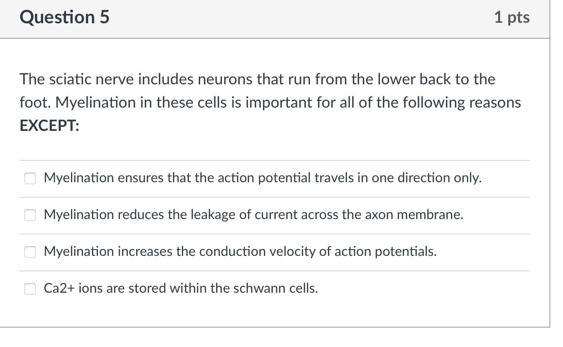 Question 5 1 Pts The Sciatic Nerve Includes Neurons That Run From The Lower Back To The Foot Myelination In These Cells 1