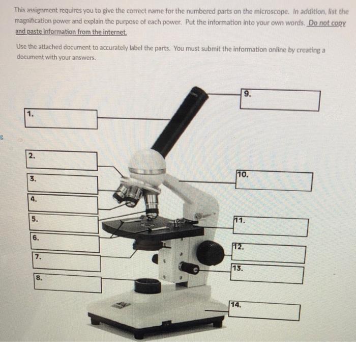 This Assignment Requires You To Give The Correct Name For The Numbered Parts On The Microscope In Addition List The Ma 1