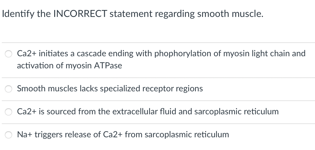 Identify The Incorrect Statement Regarding Smooth Muscle Ca2 Initiates A Cascade Ending With Phophorylation Of Myosin 1