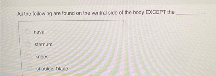 All The Following Are Found On The Ventral Side Of The Body Except The Naval Sternum Knees Shoulder Blade Oooo 1