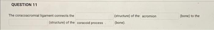 Question 11 The Coracoacromial Ligament Connects The Structure Of The Coracoid Process Structure Of The Acromion Bo 1