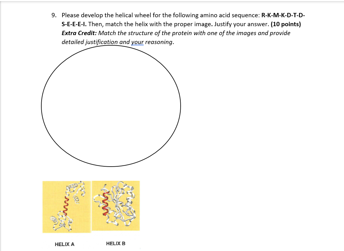9 Please Develop The Helical Wheel For The Following Amino Acid Sequence R K M K D T D S E E E I Then Match The Hel 1