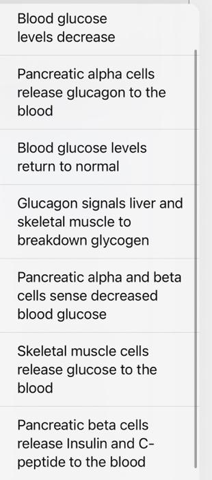 Put The Following Steps Involved In Blood Glucose Regulation In Order Starting At Least 6 Hours After A Meal Step 1 C 2